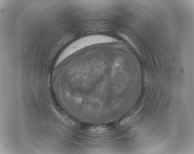 X0000070190451200606161555