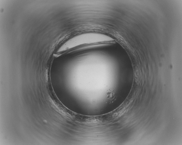 X0000070190454200606161555