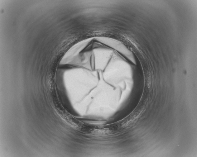 X0000070190455200606161555