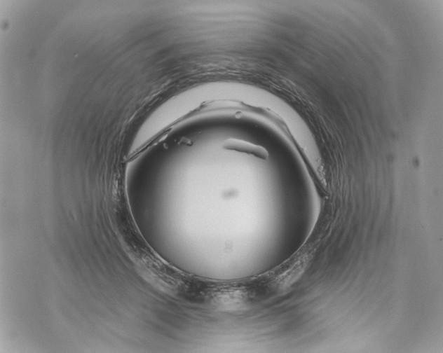 X0000070190456200606161555