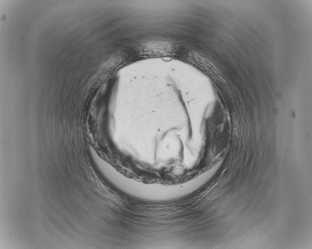 X0000070190457200606161555