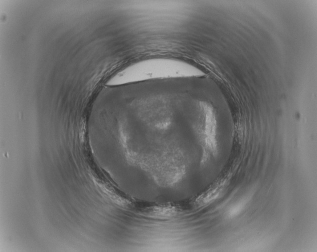 X0000070190458200606161555