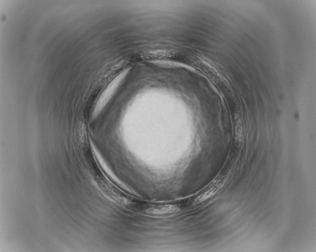 X0000070190459200606161555