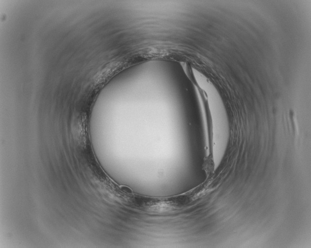 X0000070190460200606161555