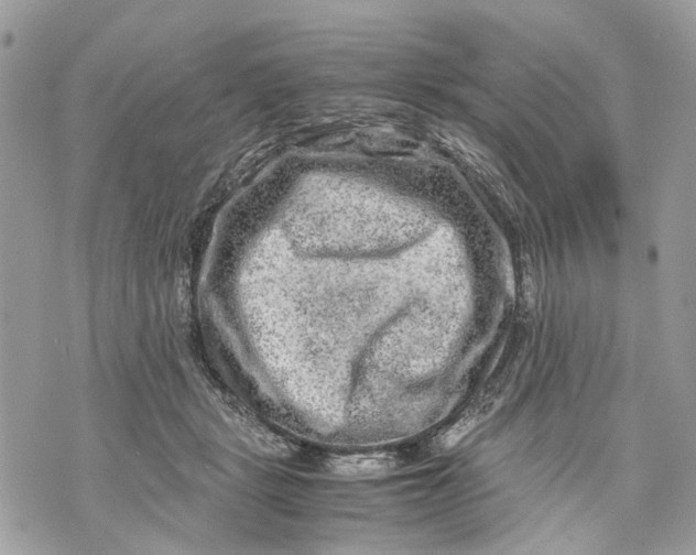 X0000070190461200606161555