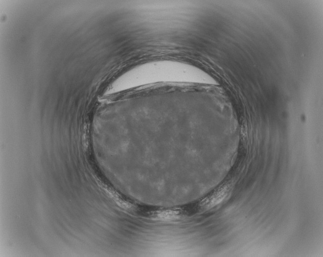 X0000070190462200606161555