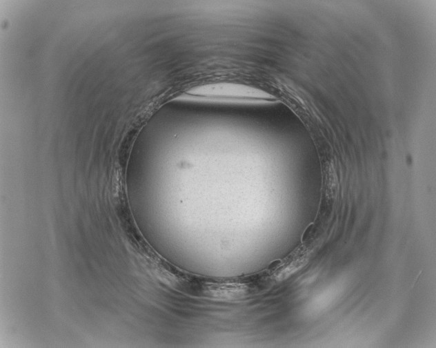 X0000070190463200606161555