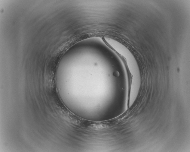 X0000070190464200606161555