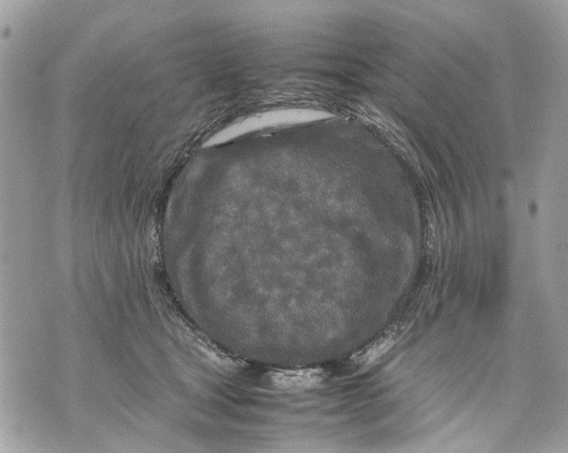 X0000070190465200606161555