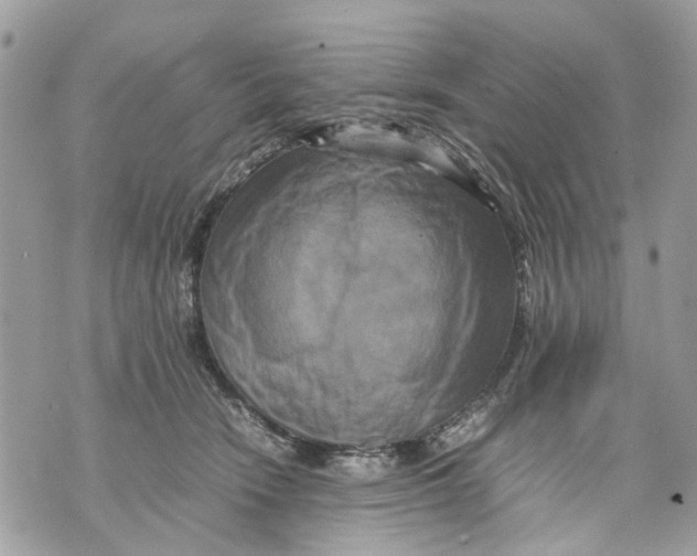 X0000070190466200606161555