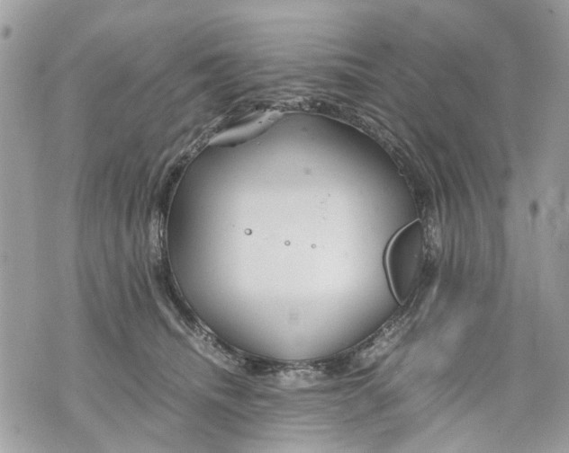 X0000070190468200606161555