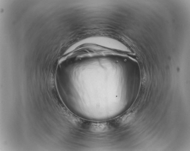 X0000070190469200606161555