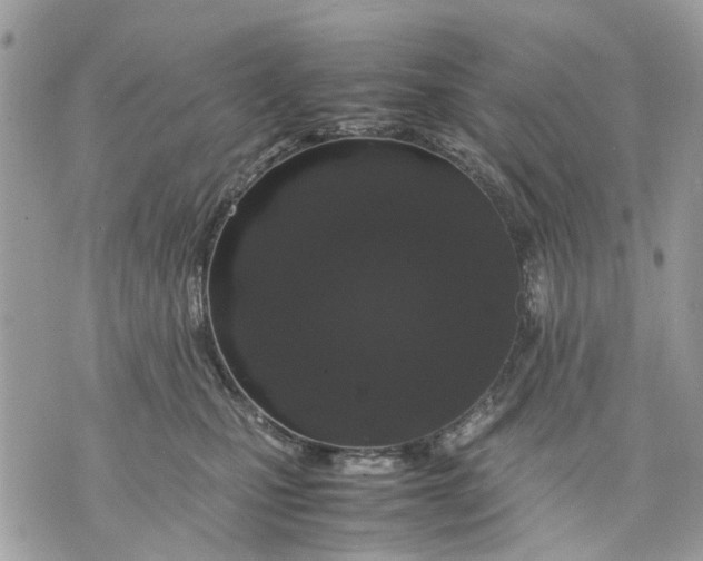 X0000070190471200606161555