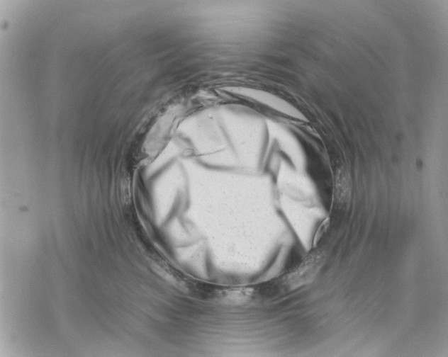 X0000070190474200606161555