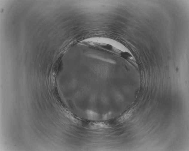 X0000070190475200606161555