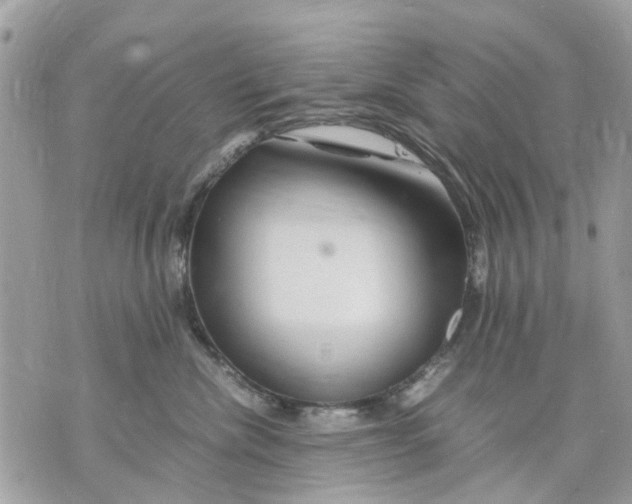 X0000070190476200606161555