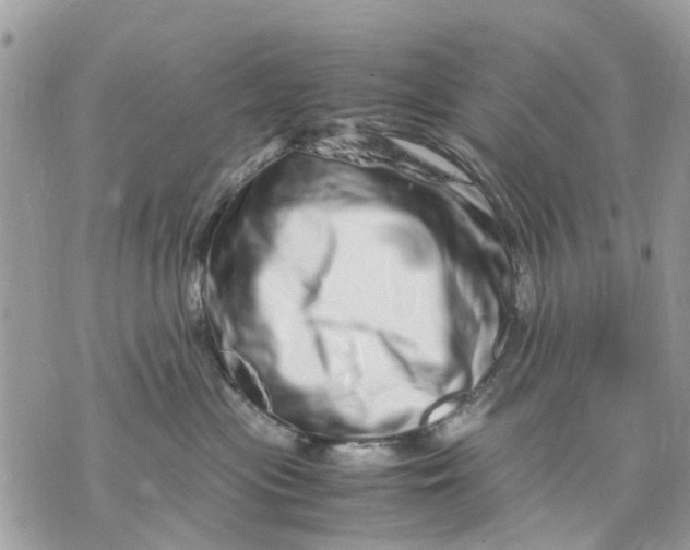 X0000070190477200606161555