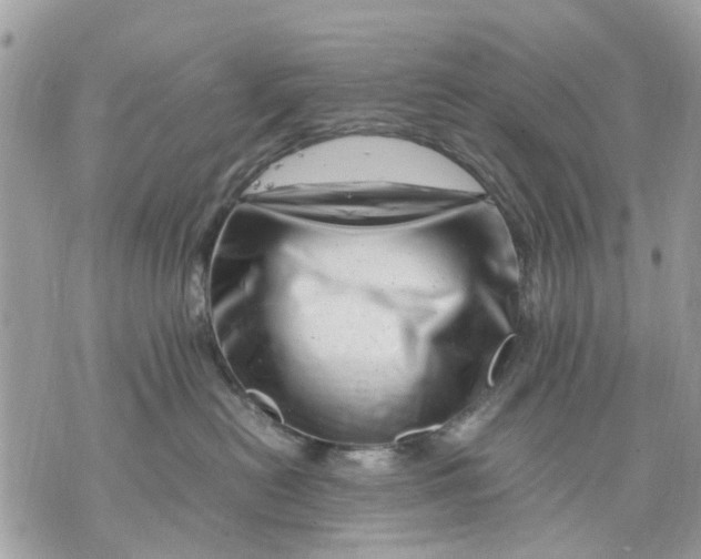 X0000070190478200606161555