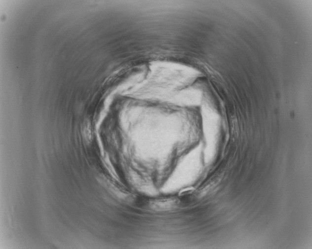 X0000070190479200606161555