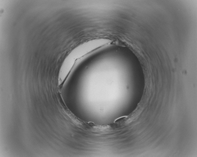 X0000070190480200606161555