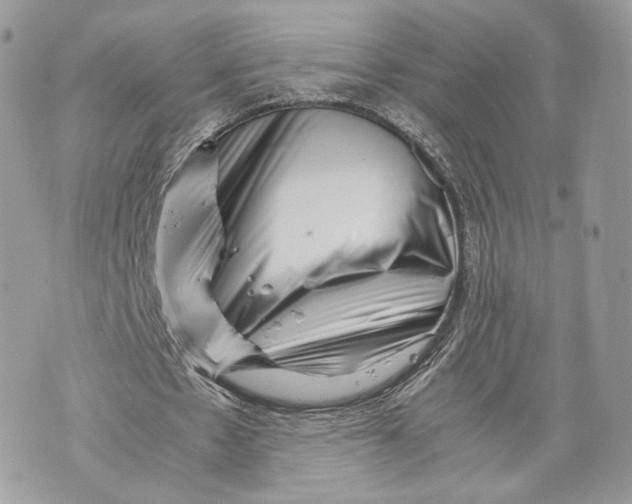 X0000070190481200606161555