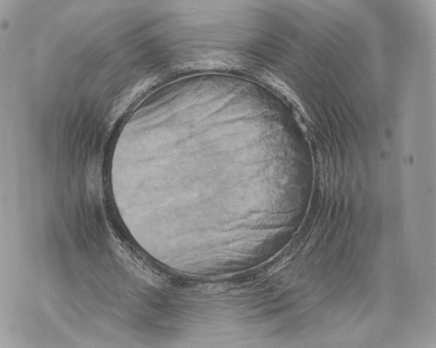 X0000070190482200606161555