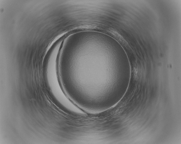 X0000070190484200606161555