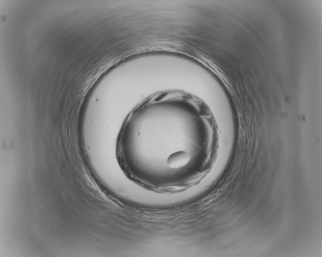 X0000070190485200606161555