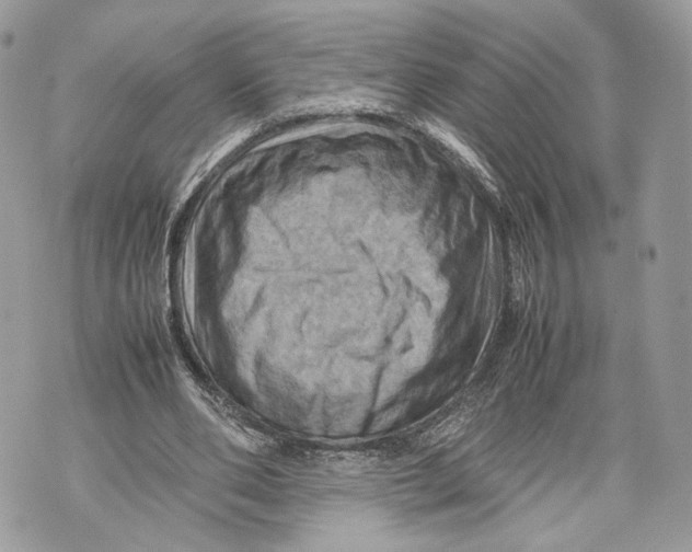 X0000070190486200606161555