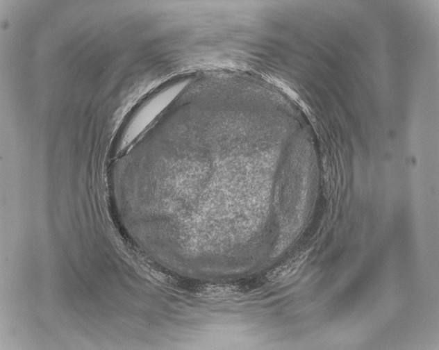 X0000070190487200606161555