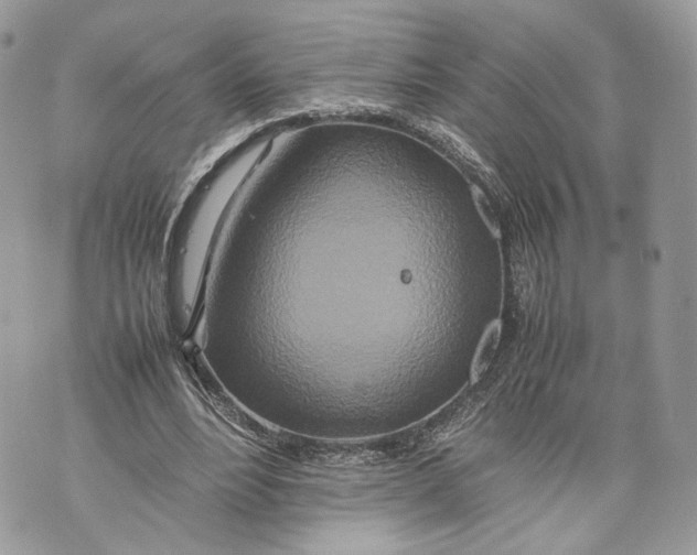 X0000070190488200606161555