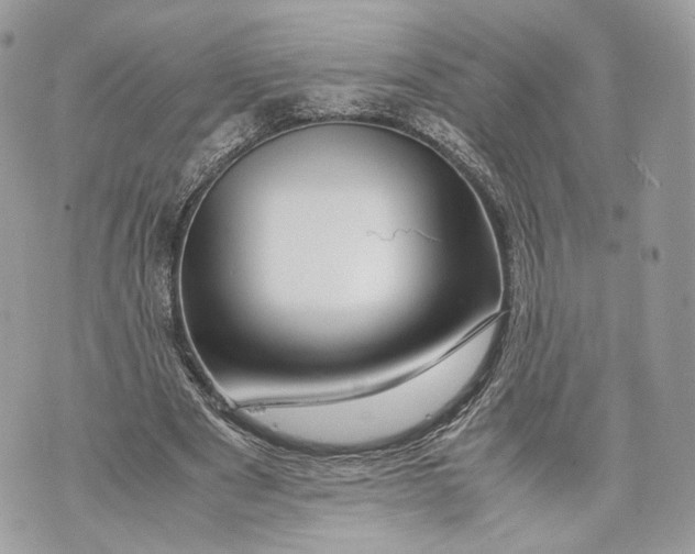 X0000070190489200606161555