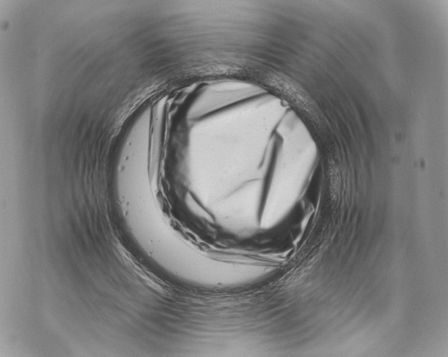 X0000070190490200606161555