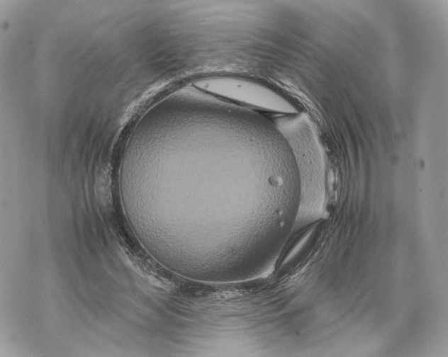 X0000070190492200606161555