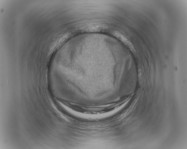 X0000070190493200606161555