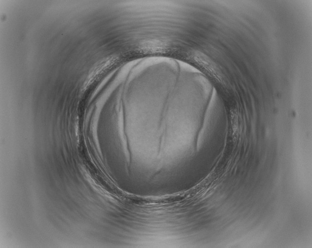 X0000070190494200606161554