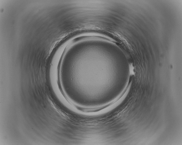 X0000070190496200606161554