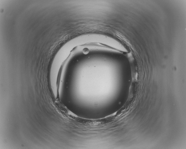 X0000070190497200606161554