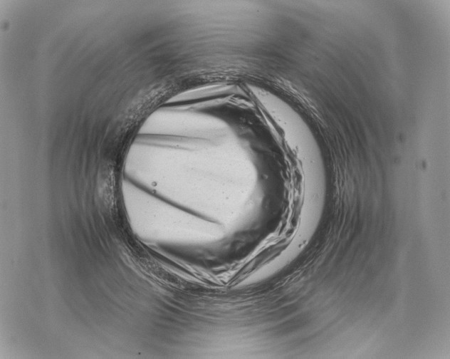 X0000070190498200606161554