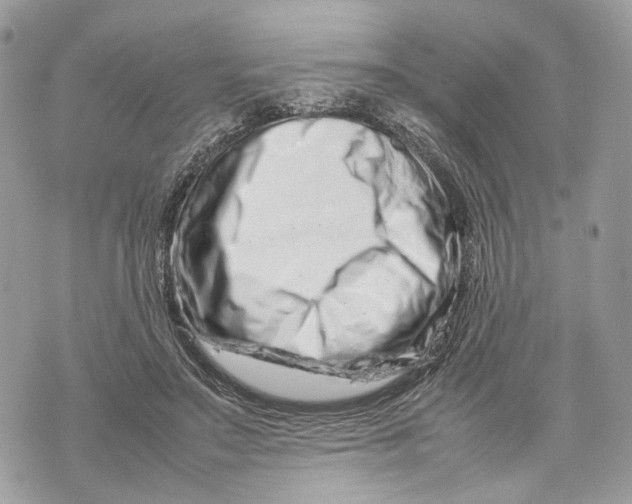 X0000070190499200606161554