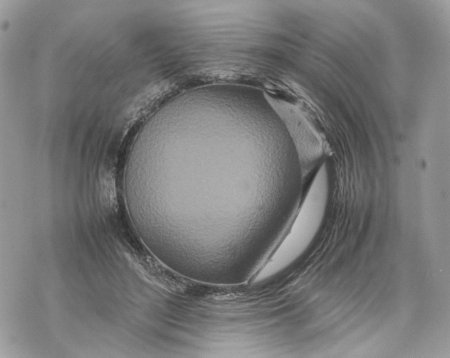 X0000070190500200606161554