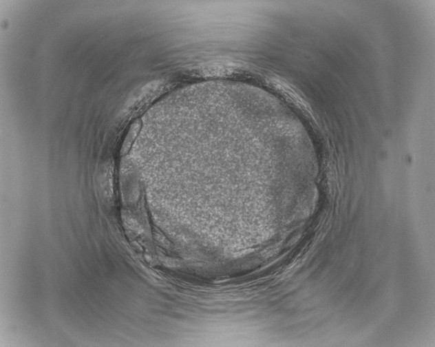 X0000070190501200606161554