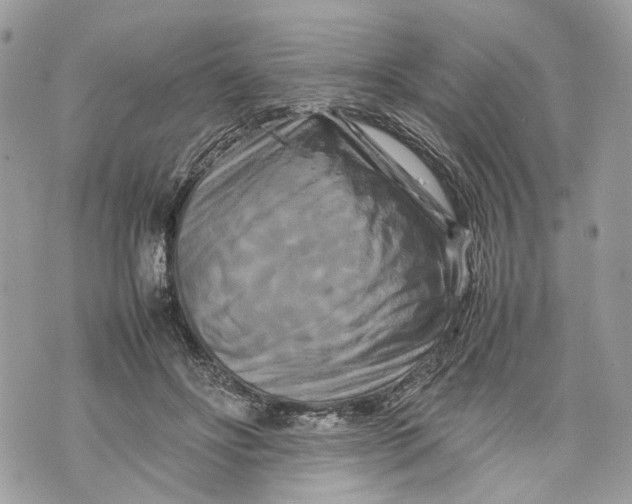 X0000070190502200606161554