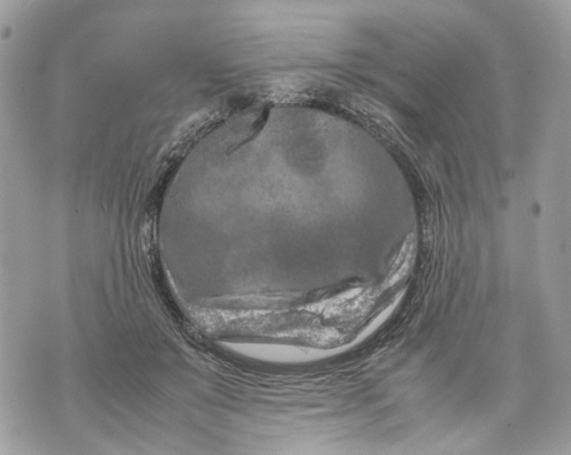 X0000070190503200606161554