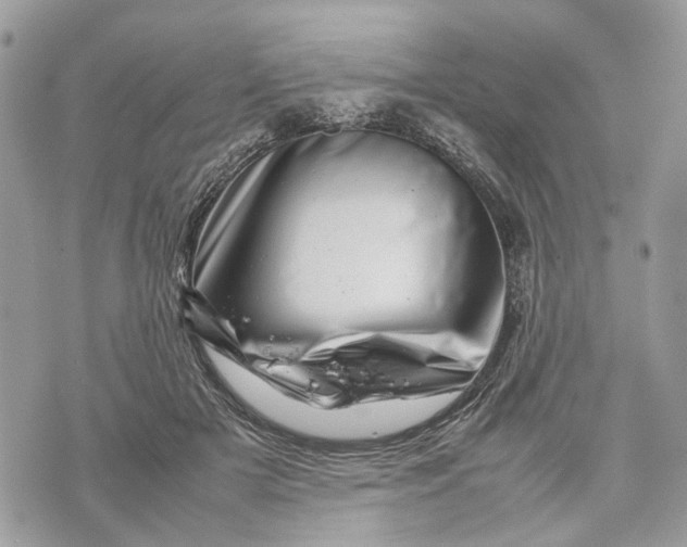 X0000070190505200606161554