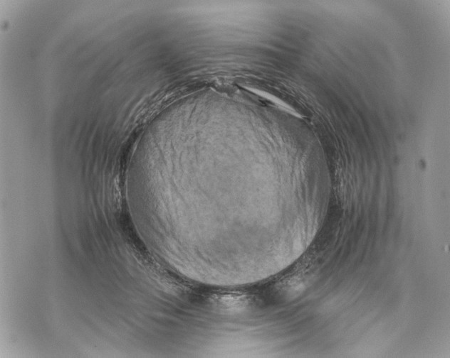 X0000070190506200606161554