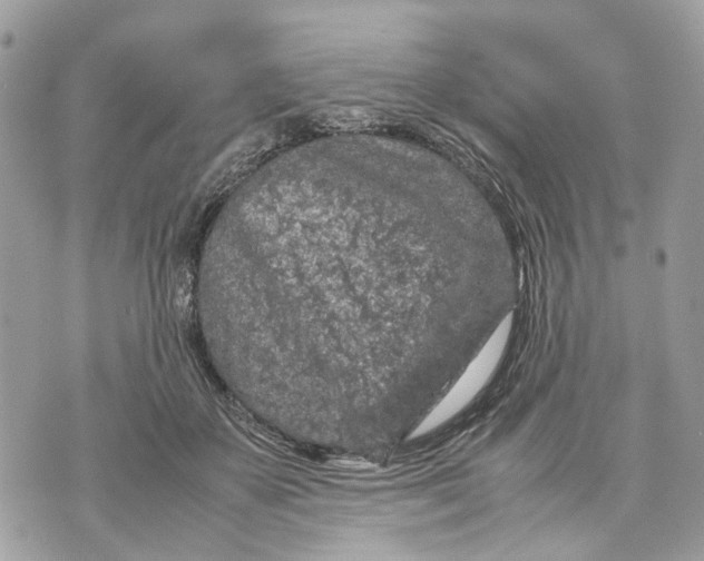 X0000070190507200606161554