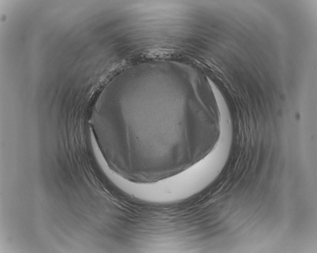 X0000070190508200606161554