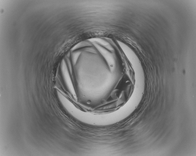 X0000070190509200606161554