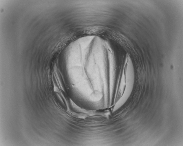 X0000070190510200606161554